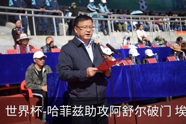 世界杯-哈菲兹助攻阿舒尔破门 埃及半场暂1-0澳大利亚
